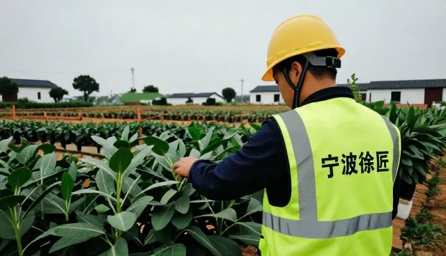 不同土壤环境下种苗适应性与种植策略分析